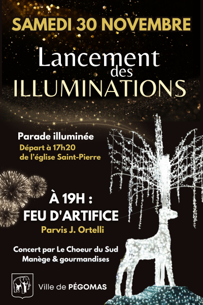 Lancement des illuminations