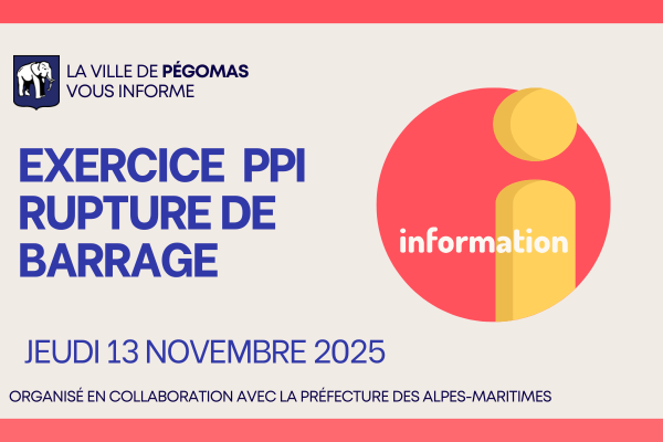 Lancement illuminations Noël Pégomas